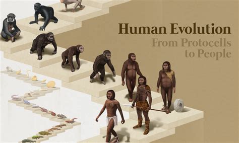 The Evolution of First.